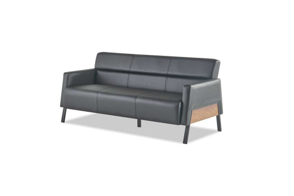 Sofas 3-Sitzer Sessel Schwarz Modern Sitzmöbel Sofa-Set Ledersofas Holz