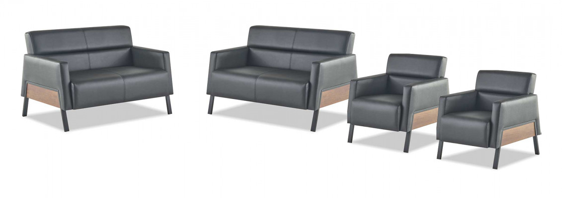 Sitzmöbel Leder Set Ledersofa 2-Sitzer Sessel Modern Schwarz Edelstahl